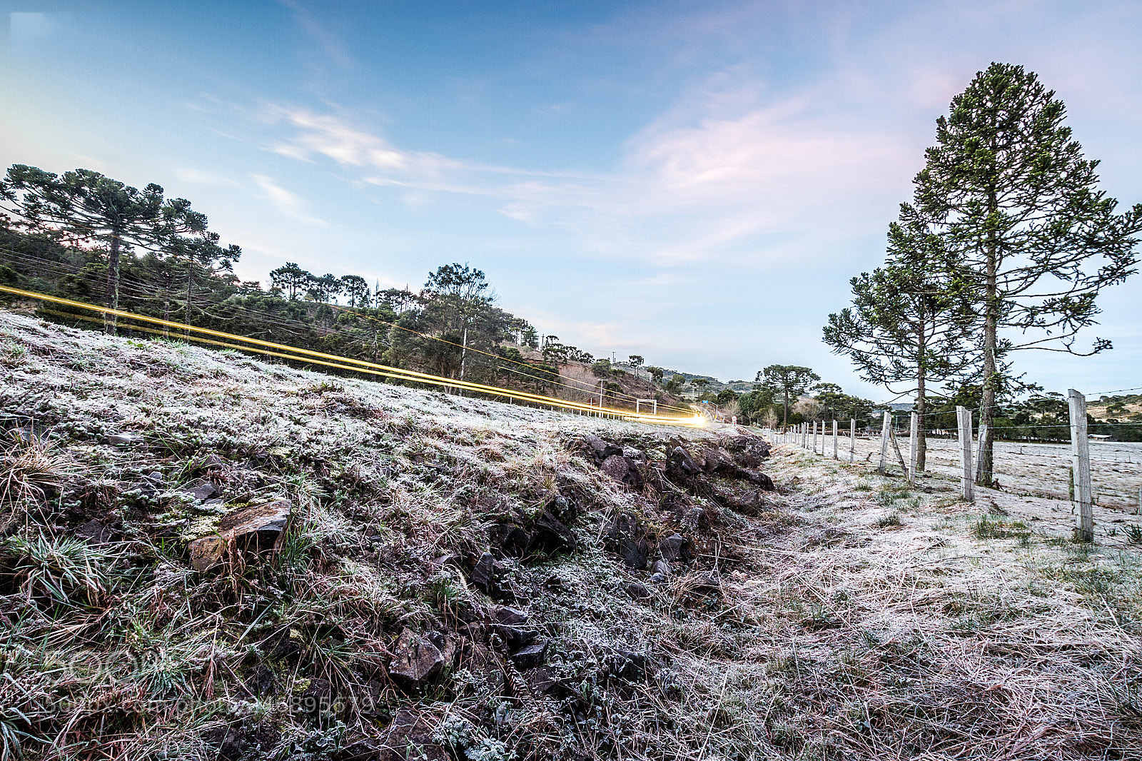 Canon EOS 7D sample photo. Frost - geada photography