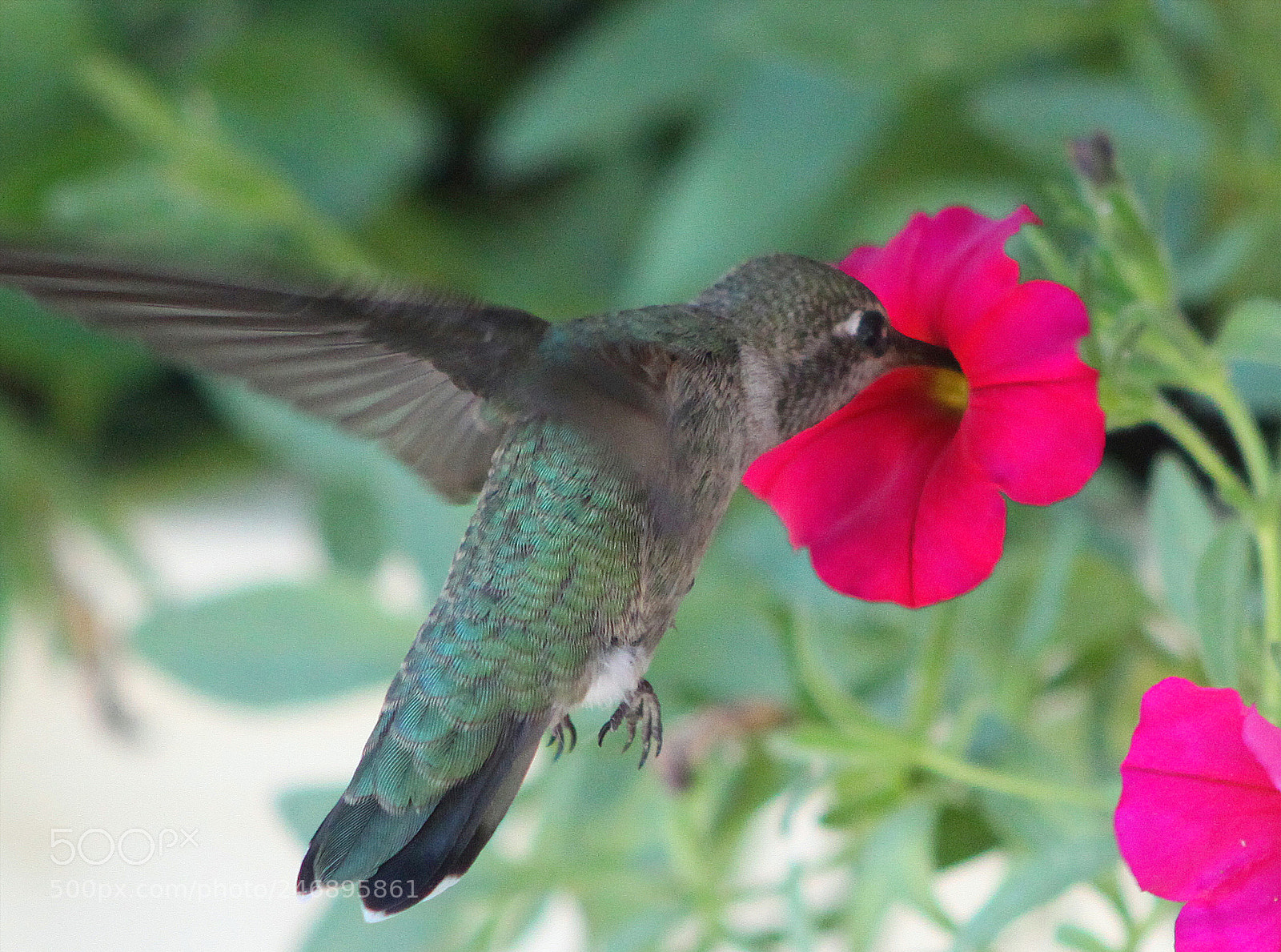 Canon EOS 50D sample photo. Untitled photography