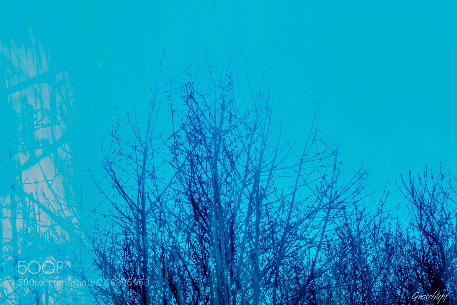 Nikon D600 sample photo. Obstgarten photography