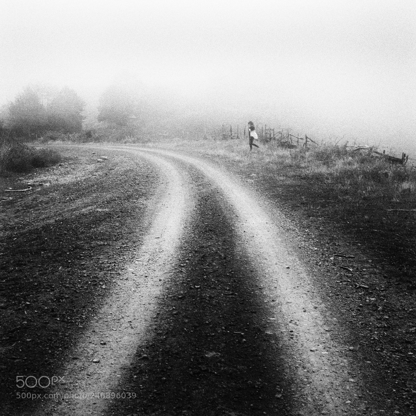 Nikon D3100 sample photo. Foggy day photography