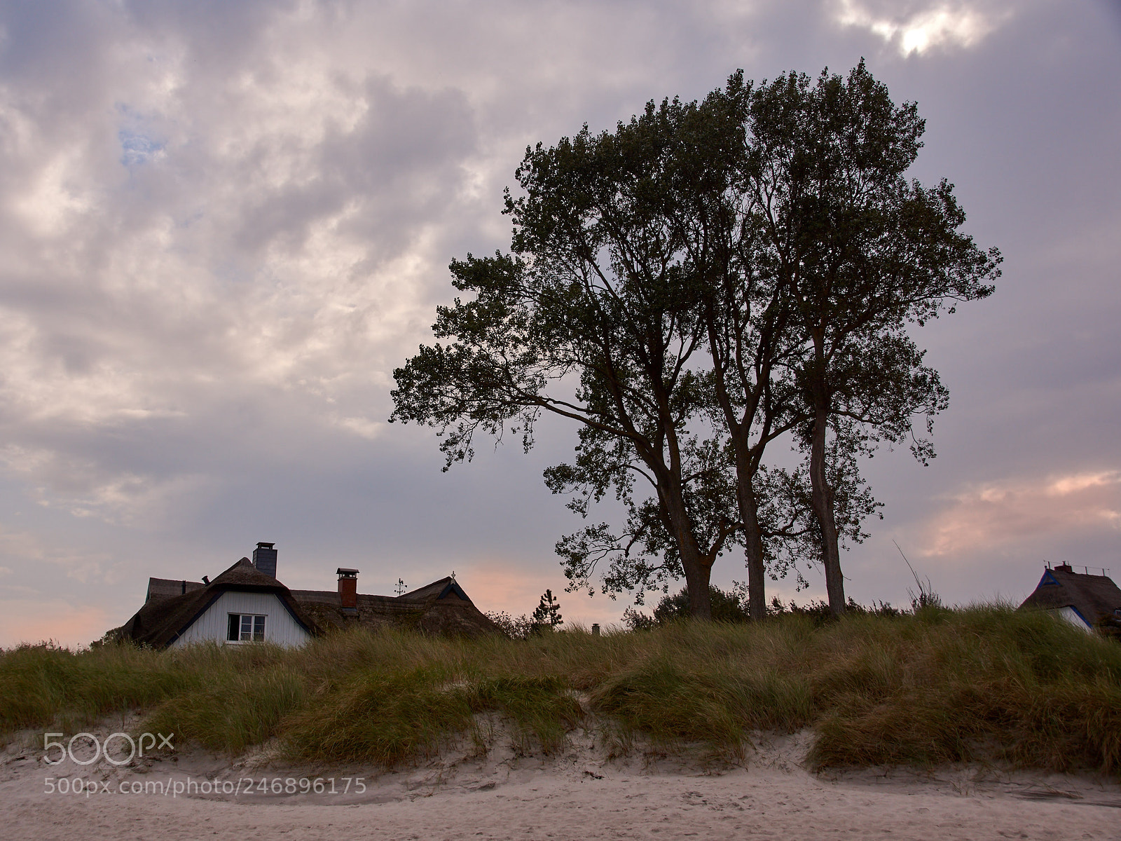 Sony SLT-A65 (SLT-A65V) sample photo. Ahrenshoop west coast 2 photography