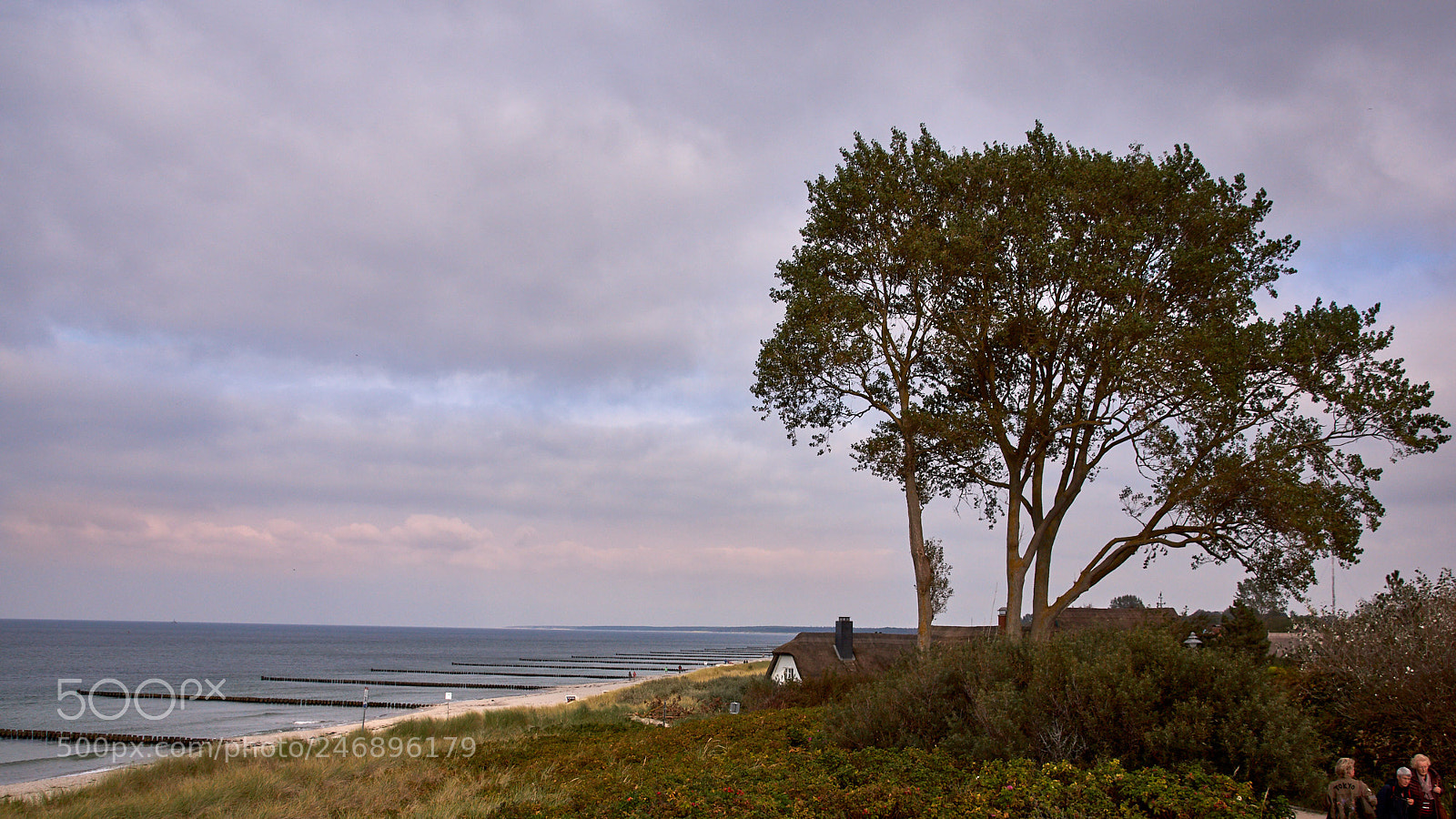 Sony SLT-A65 (SLT-A65V) sample photo. Ahrenshoop west coast 1 photography
