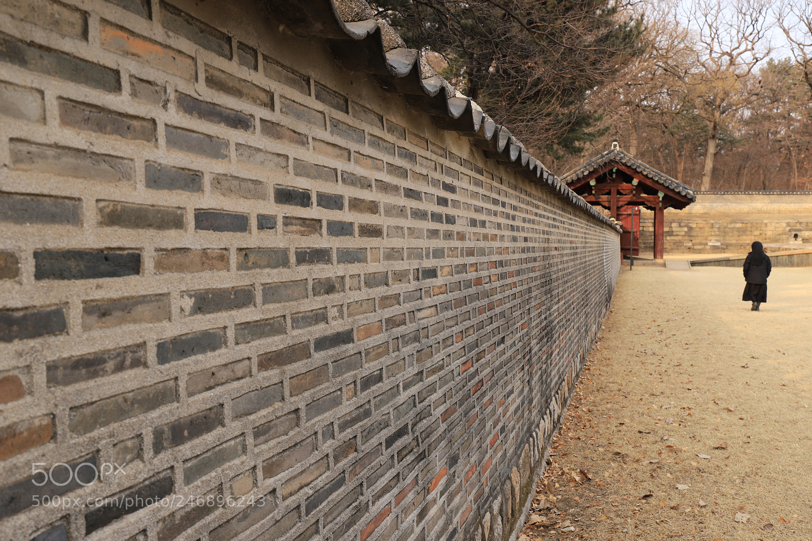 Canon EOS 6D Mark II sample photo. Lonely woman photography