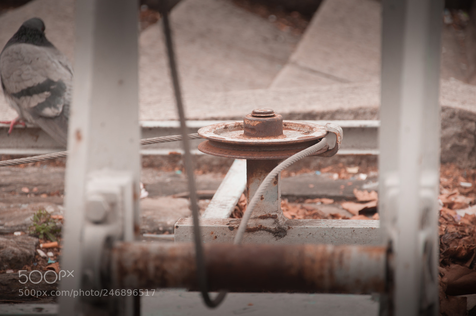 Nikon D90 sample photo. Lecco photography