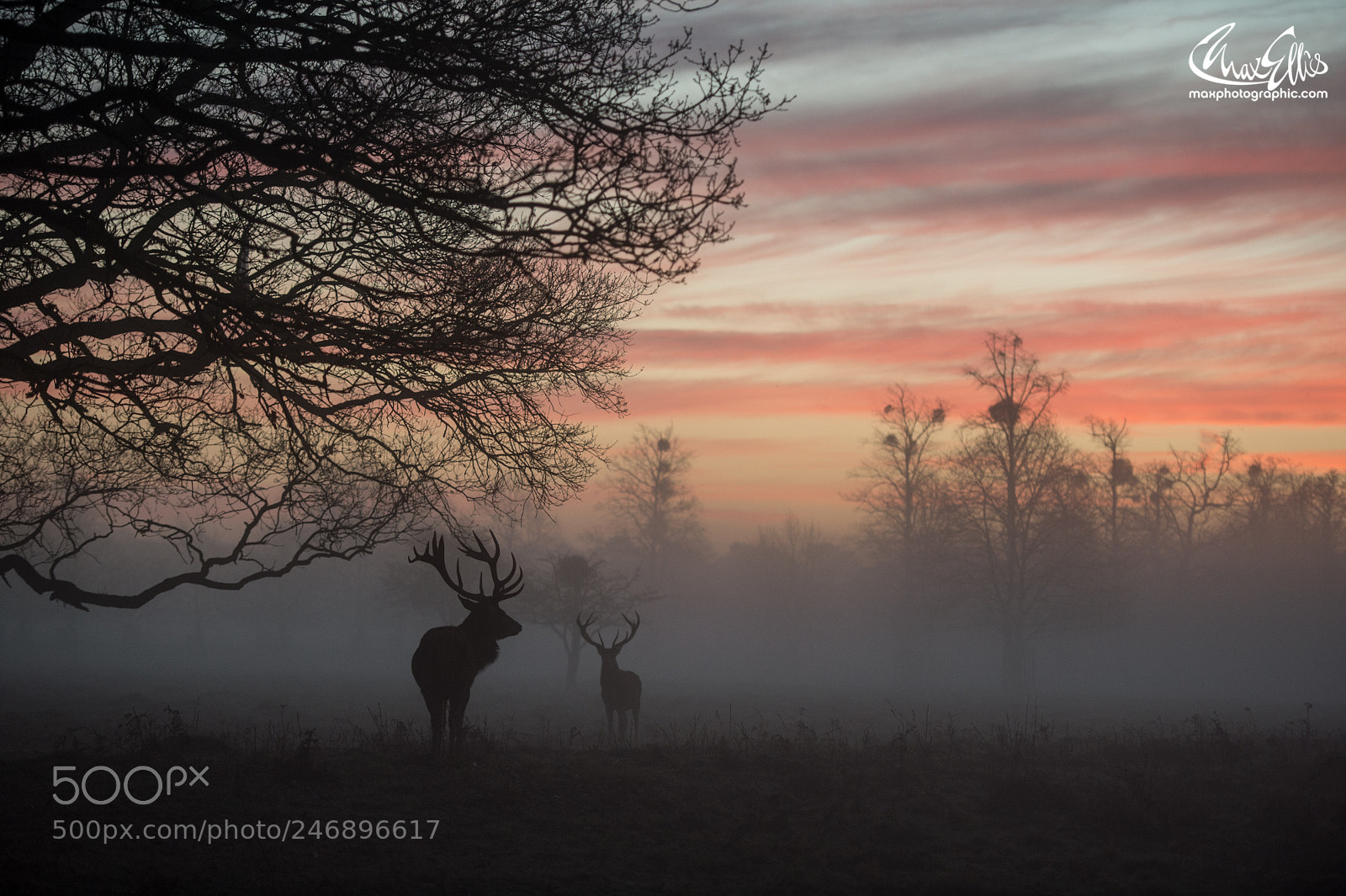 Nikon D4 sample photo. Perfect dawn photography