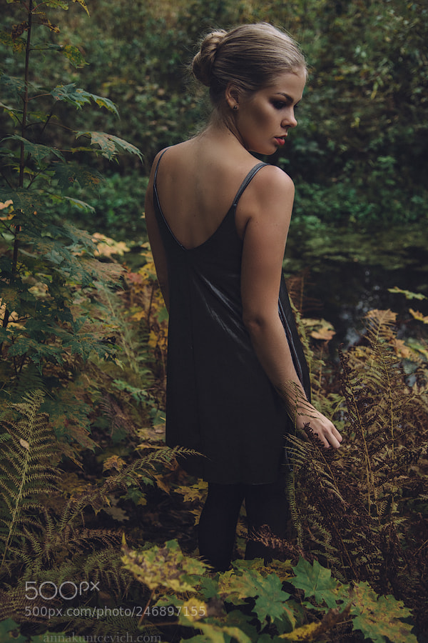Nikon D800 sample photo. Autumn melancholy photography