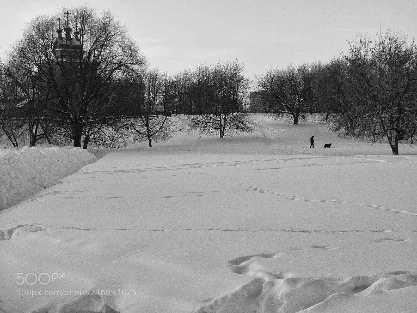 Olympus OM-D E-M1 sample photo. Once on a winter photography
