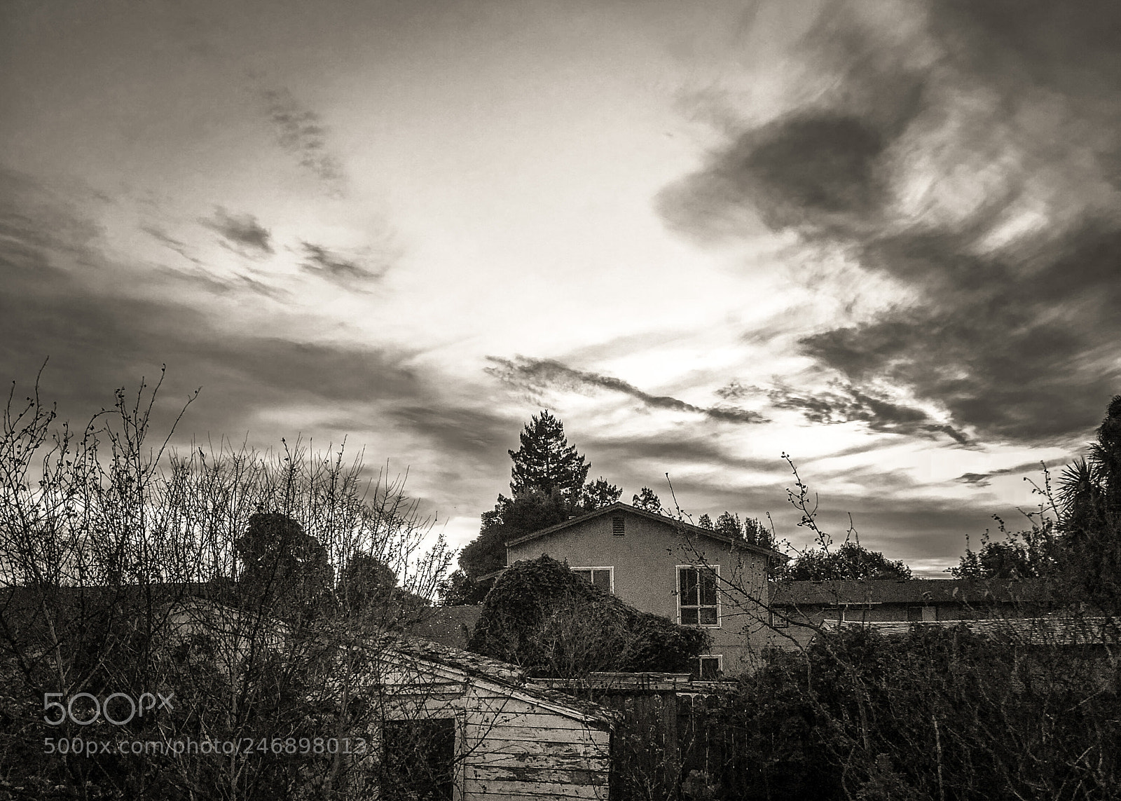 Apple iPhone 8 Plus sample photo. Painted sky in black photography