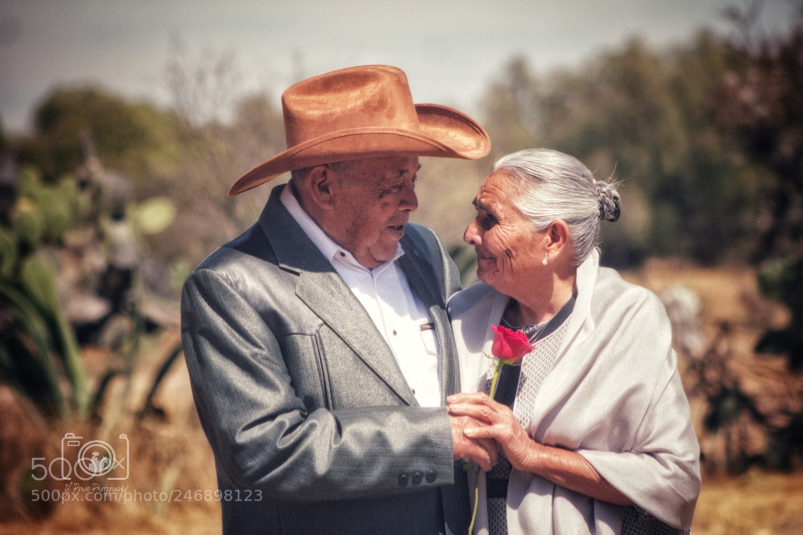 Canon EOS 550D (EOS Rebel T2i / EOS Kiss X4) sample photo. Wedding... photography