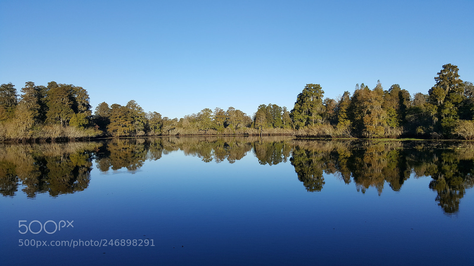 Samsung Galaxy S6 sample photo. Hillsborough river photography