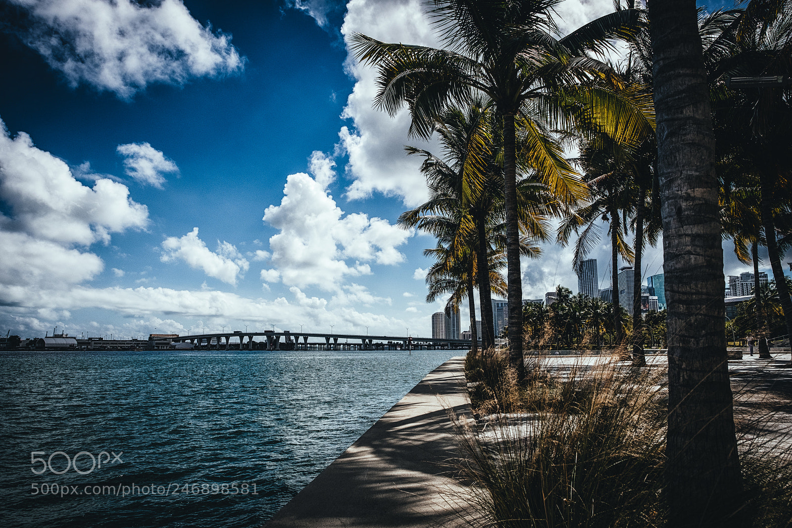 Fujifilm X-Pro2 sample photo. Biscayne bay photography