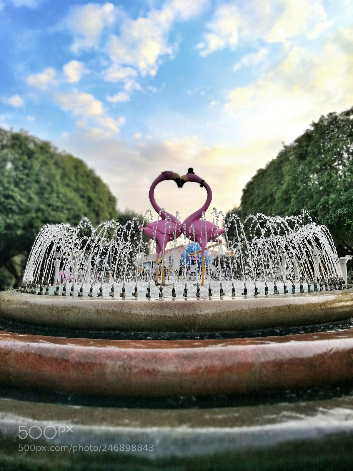 HUAWEI P10 Plus sample photo. Love photography