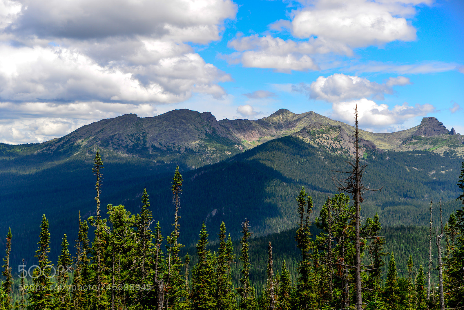Nikon D800 sample photo. Sayan mountains in russia photography