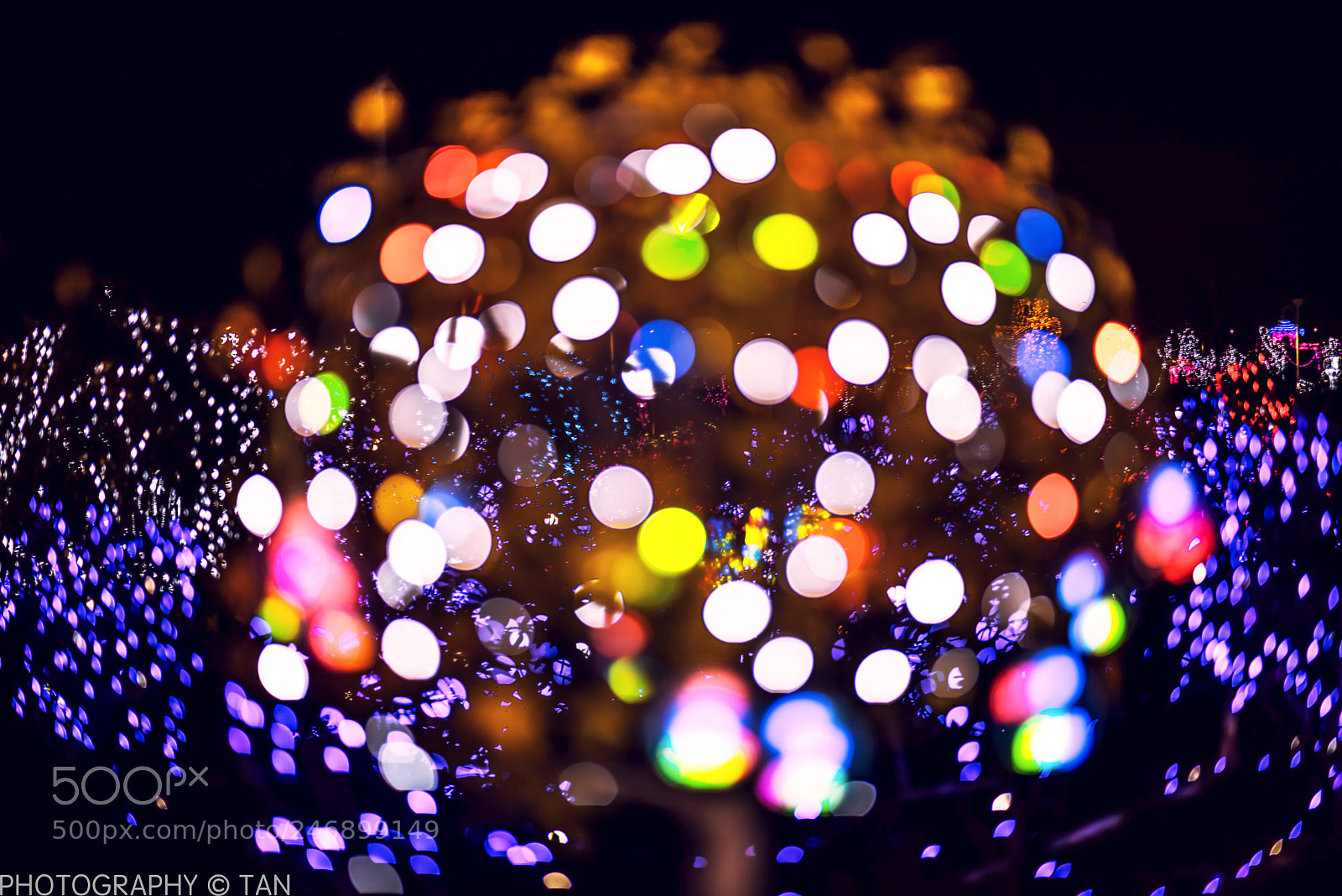 Nikon D810 sample photo. Night photography