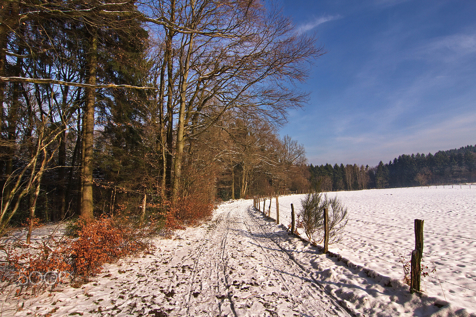 Canon EOS 7D + Tokina AT-X Pro 12-24mm F4 (IF) DX sample photo. Winter walk photography