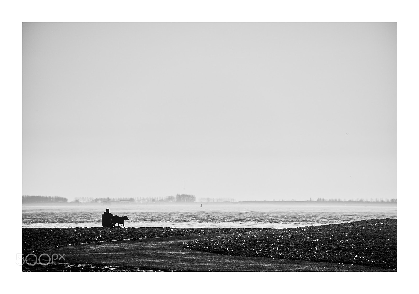 Fujifilm X-T2 sample photo. Frame of life photography