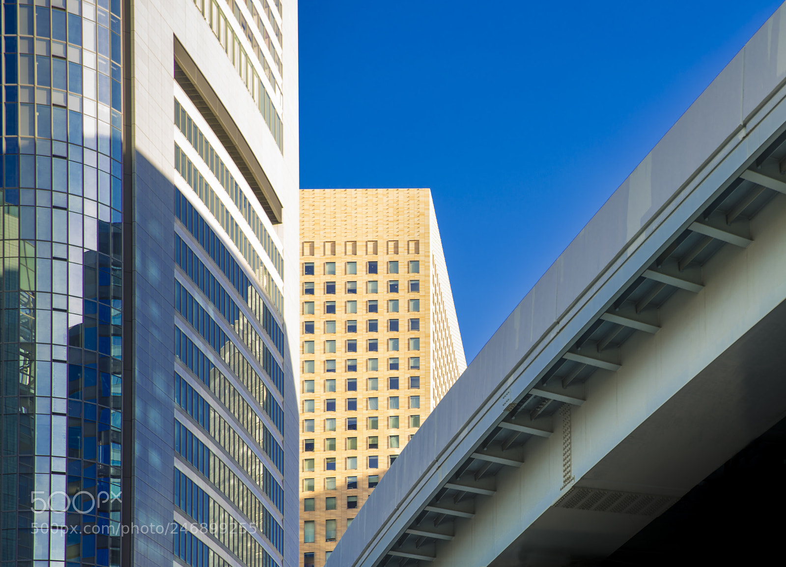 Sony a7R III sample photo. View from the ground photography