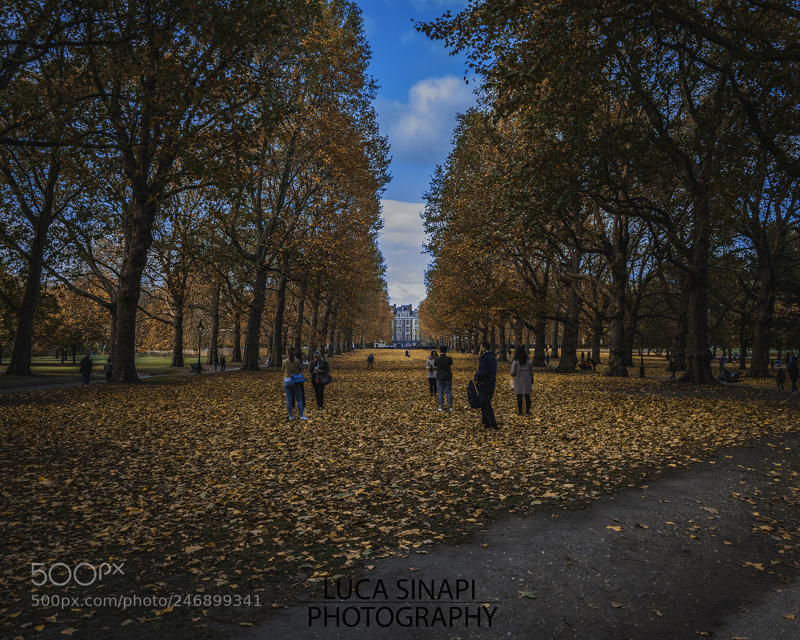 Sony a7 II sample photo. Autumn in london (3/3) ? ?? ???????  photography