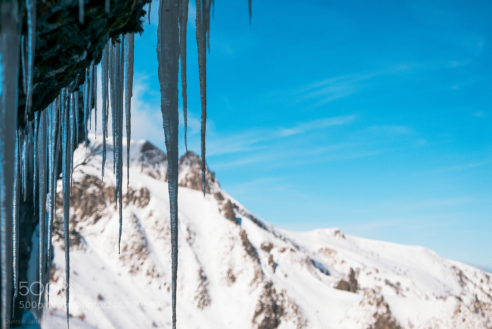 Panasonic Lumix DMC-LX100 sample photo. Icicles in the snow photography