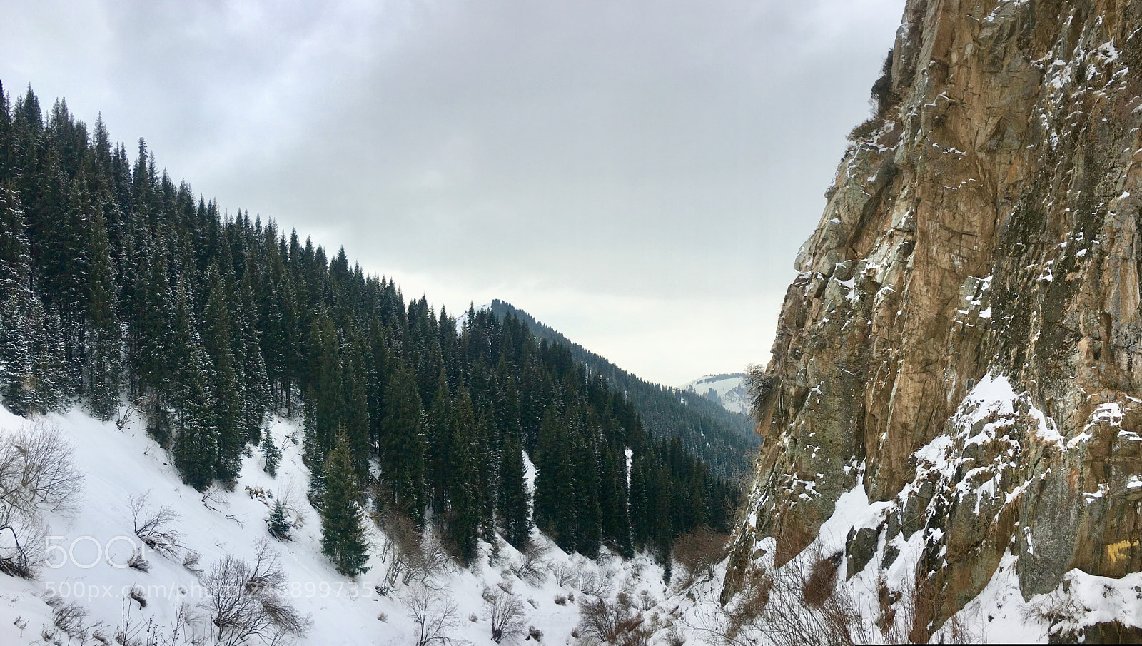 Apple iPhone 6s sample photo. Almaty, butakovka photography
