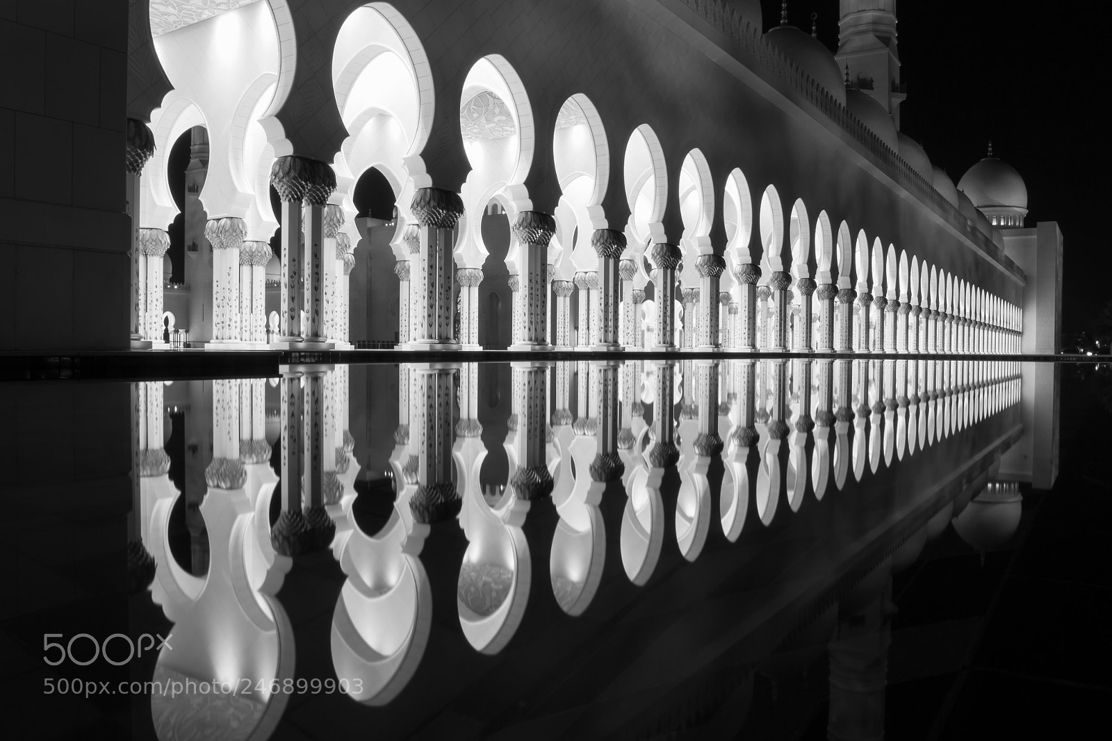 Nikon D3100 sample photo. Perfect reflection - in photography