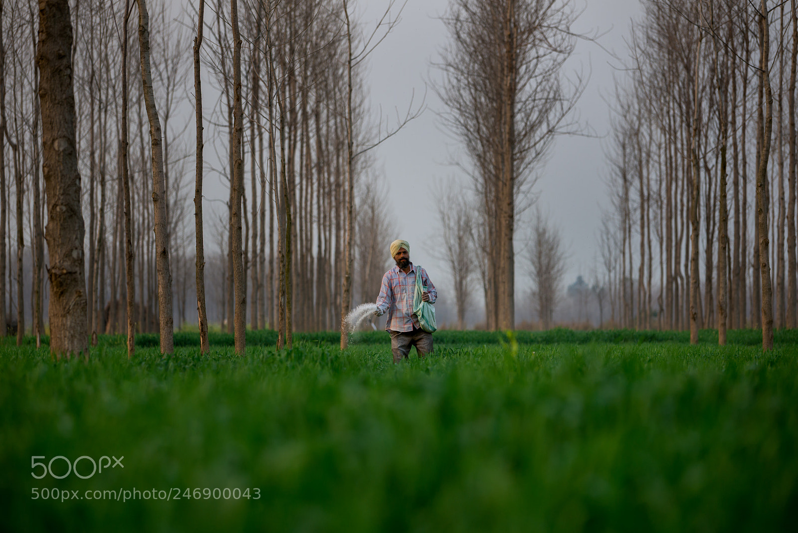 Nikon D610 sample photo. Farmer of punjab photography