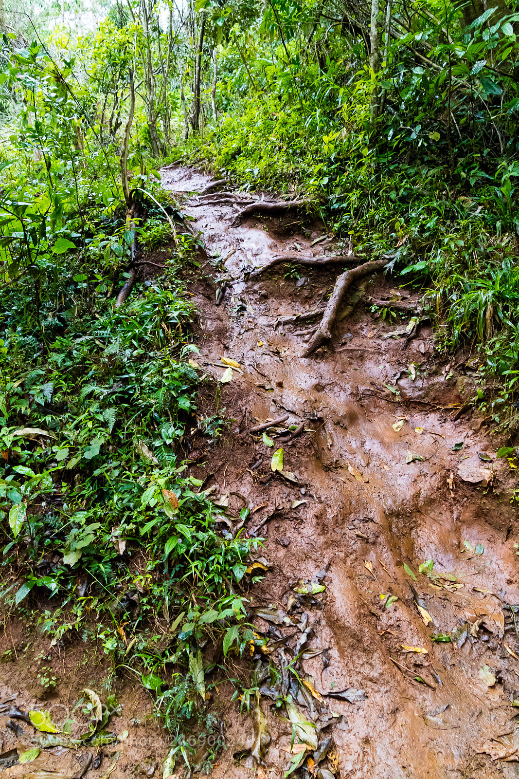 Canon EOS M3 sample photo. Mud way photography
