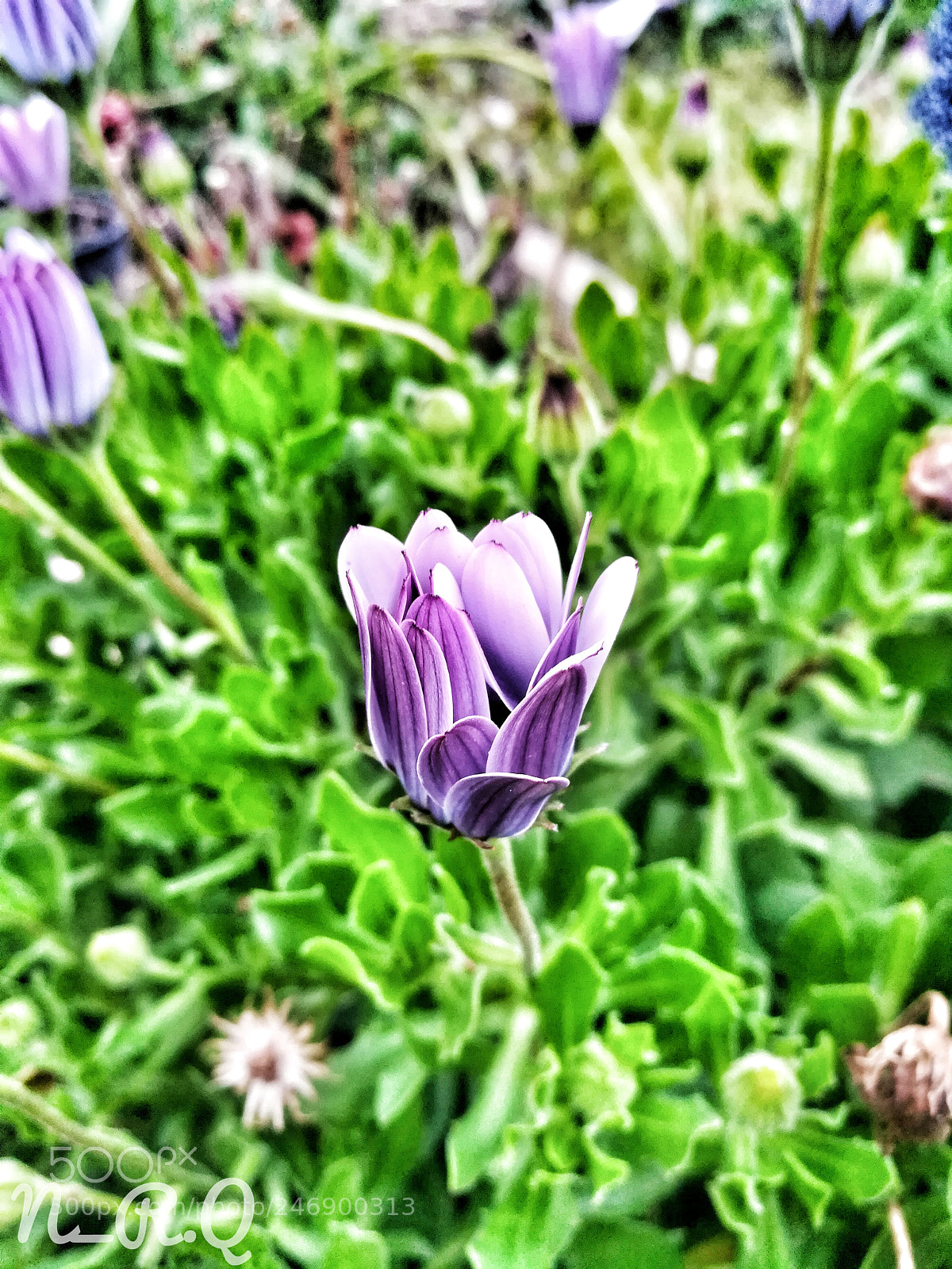 HUAWEI GR5 2017 sample photo. Untitled photography