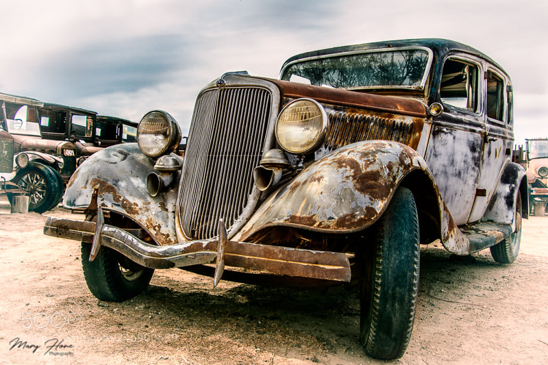 Nikon D500 sample photo. Model t photography