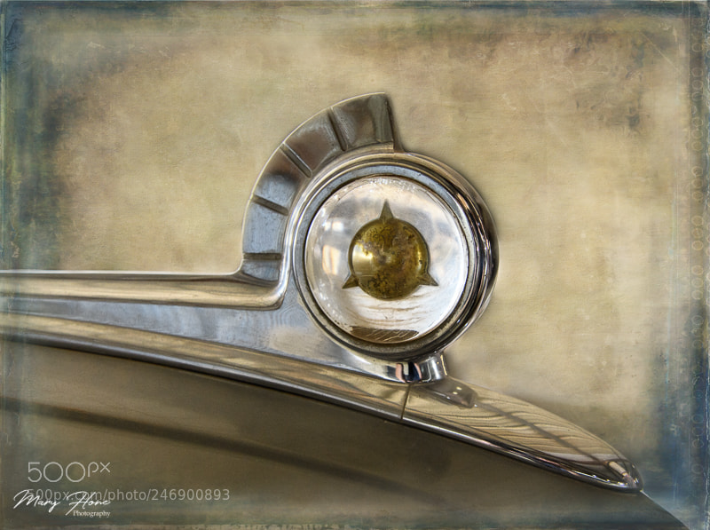 Nikon D500 sample photo. Packard hood ornament photography