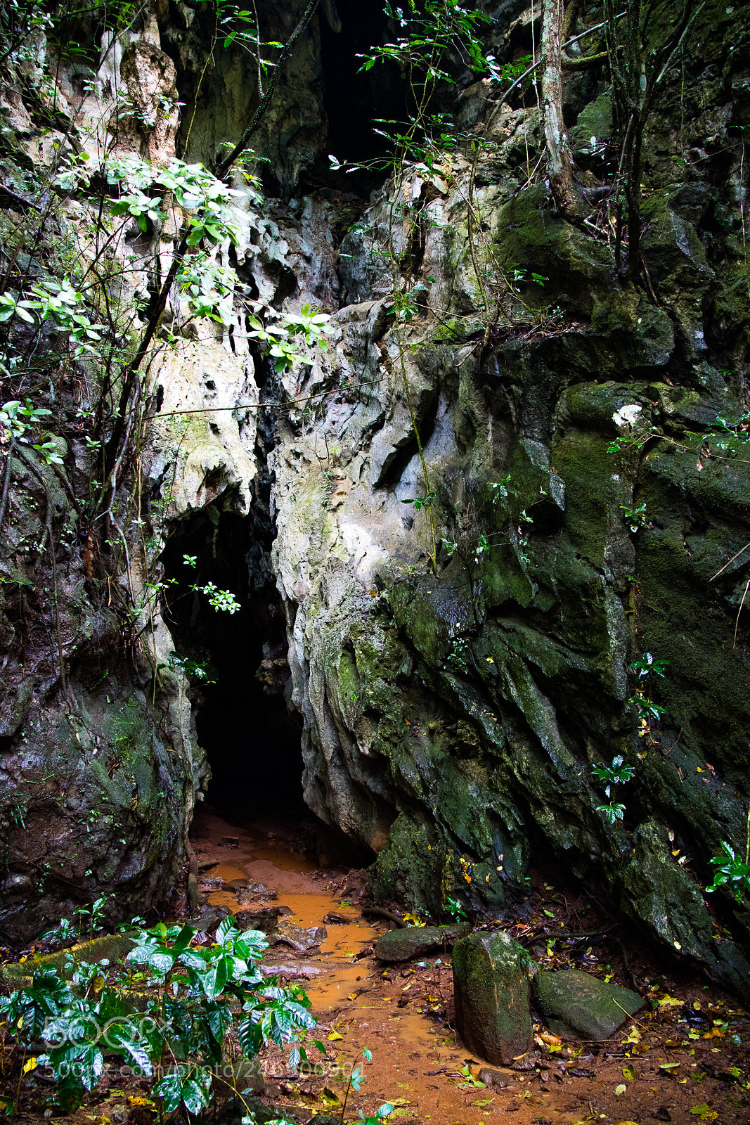 Canon EOS M3 sample photo. Cave entrance photography