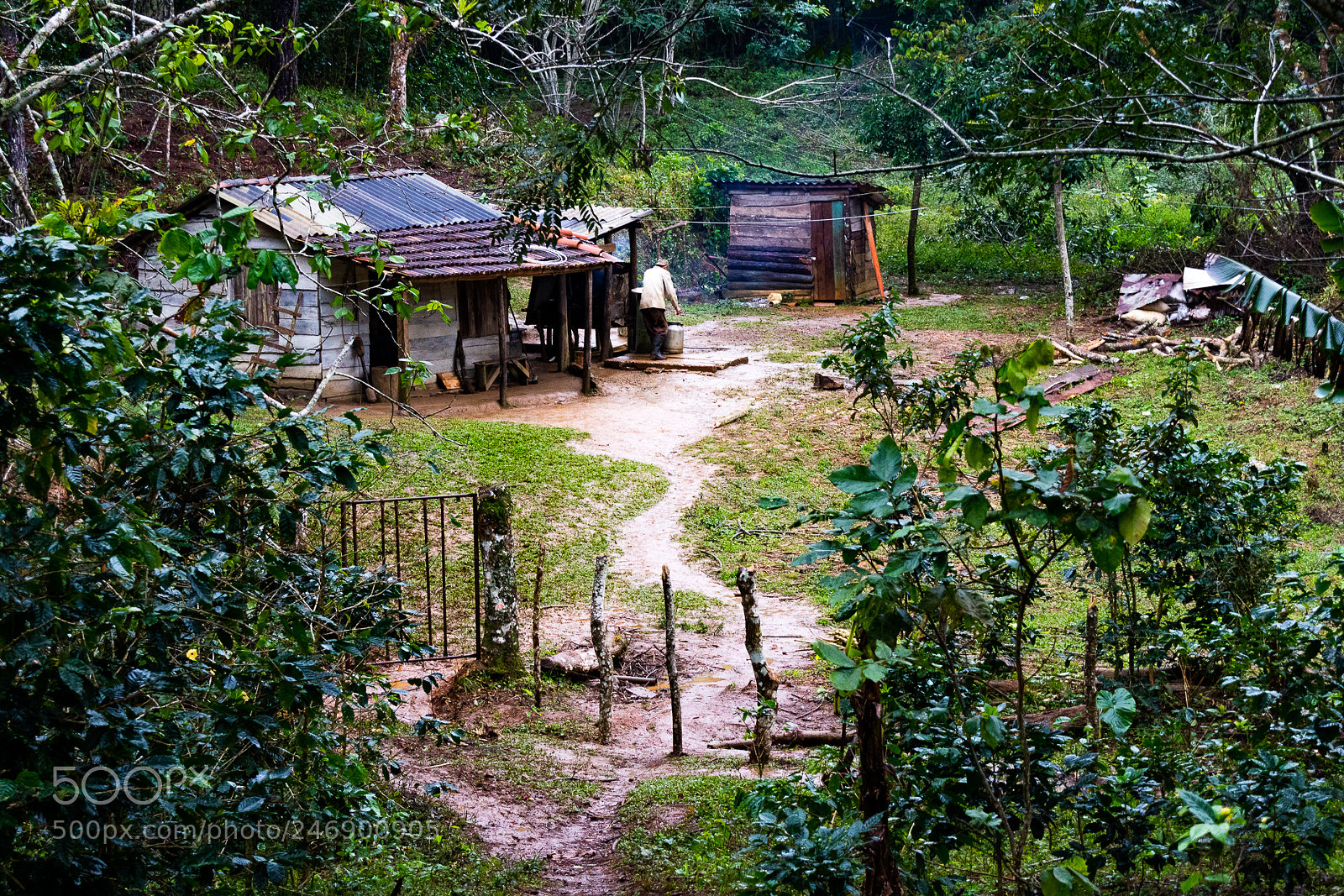 Canon EOS M3 sample photo. Jungle house photography