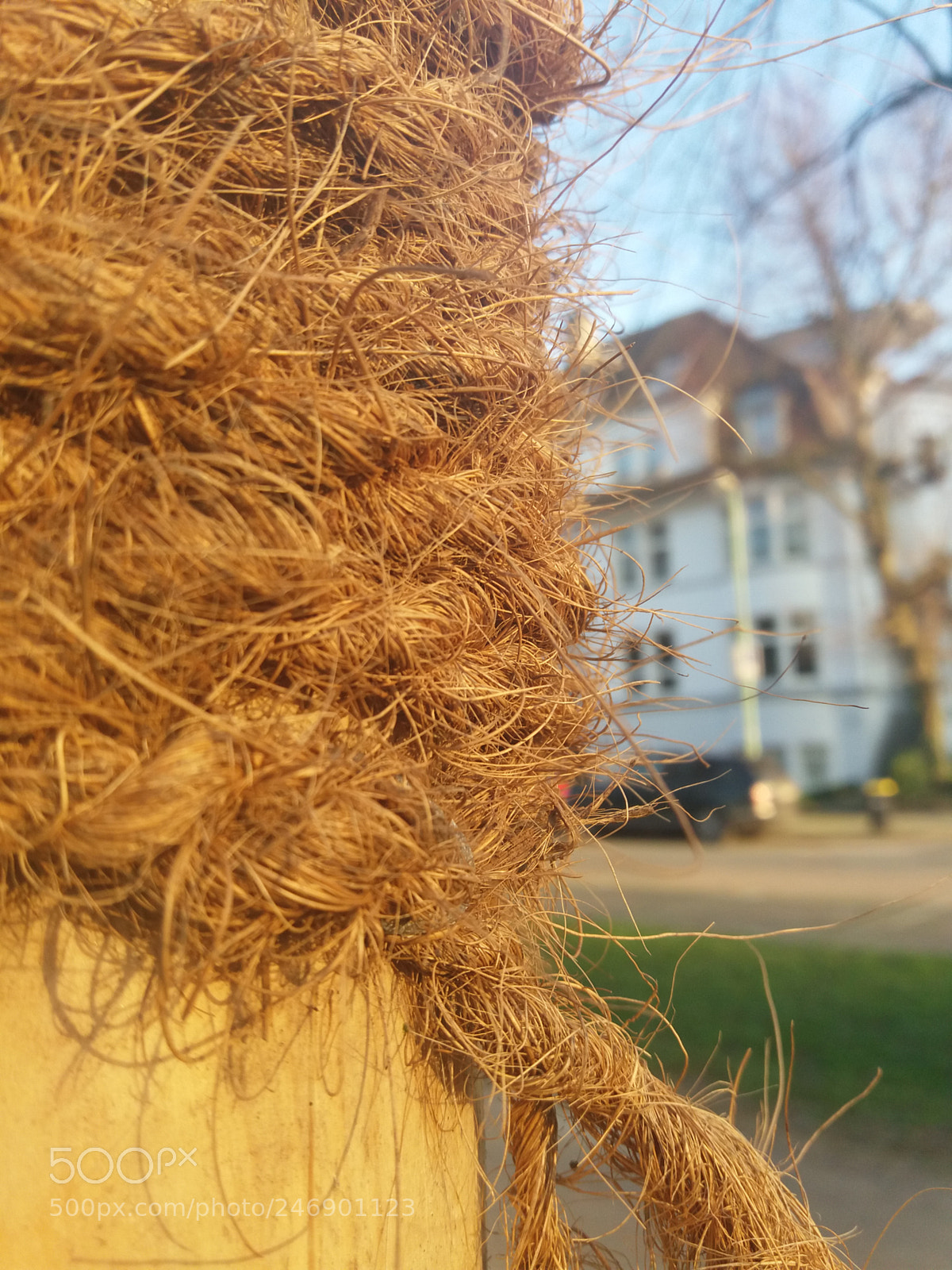 Samsung Galaxy J5(2016) sample photo. Untitled photography