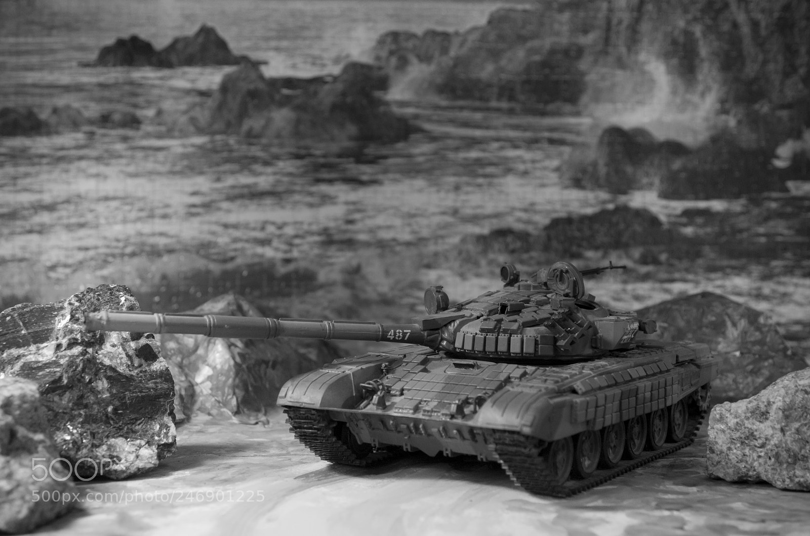 Nikon D300 sample photo. Combat tank model photography