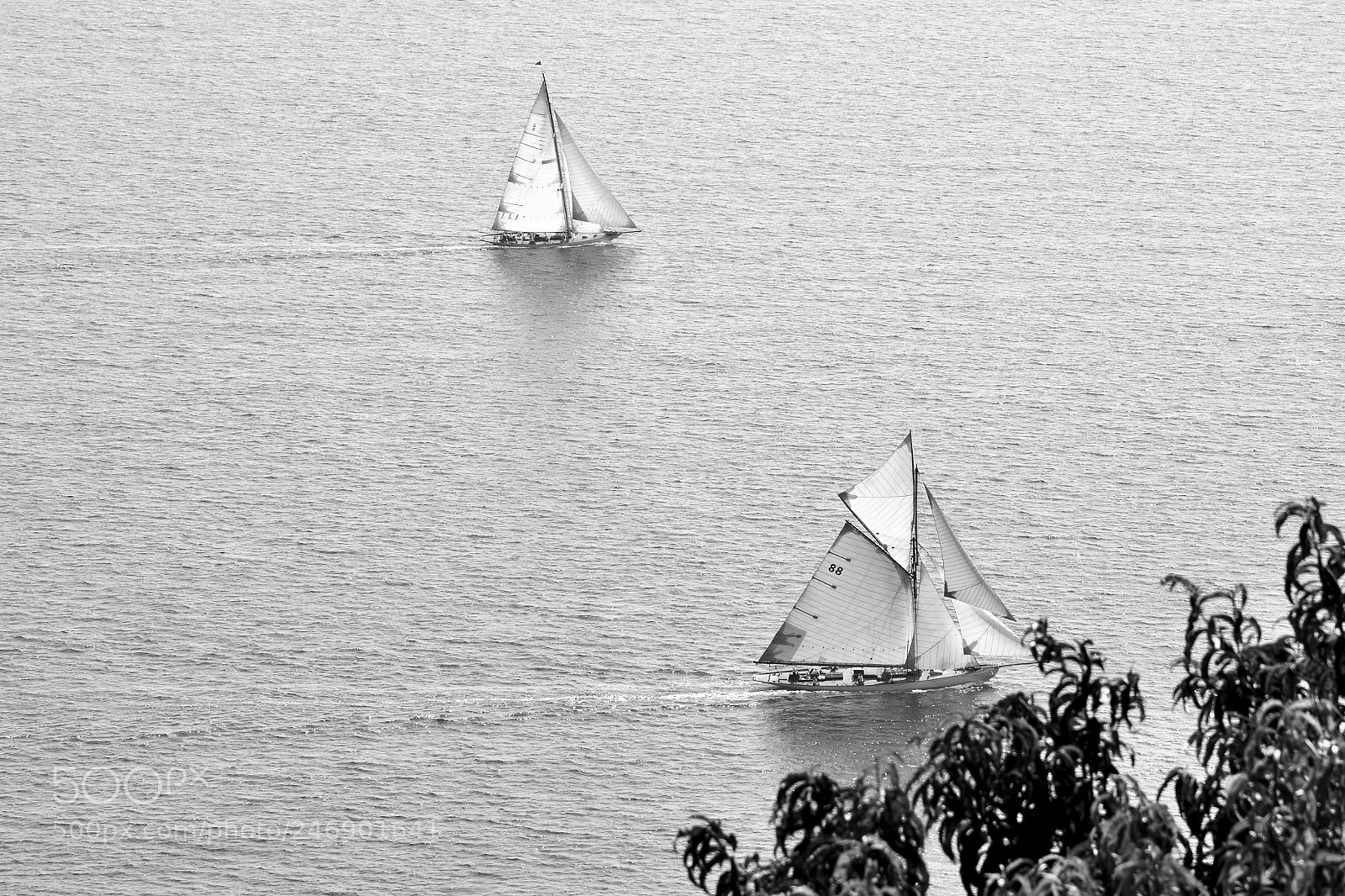 Nikon D5200 sample photo. Vele d'epoca photography