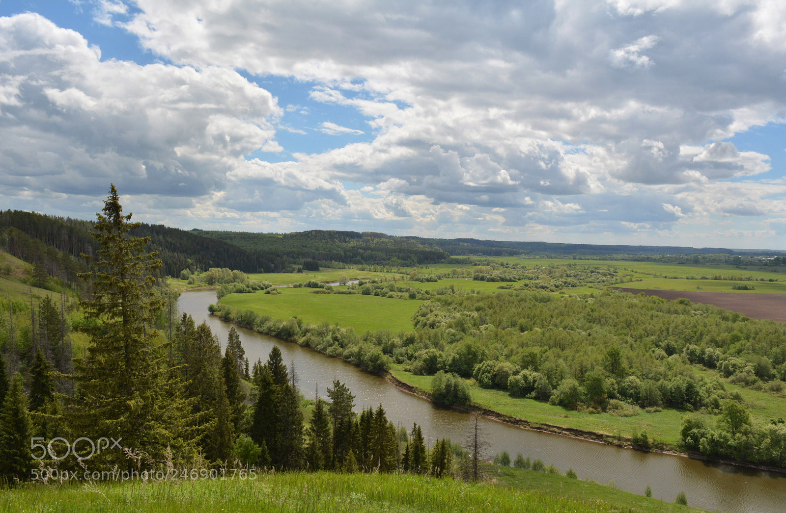 Nikon D5200 sample photo. Summer breeze in the photography
