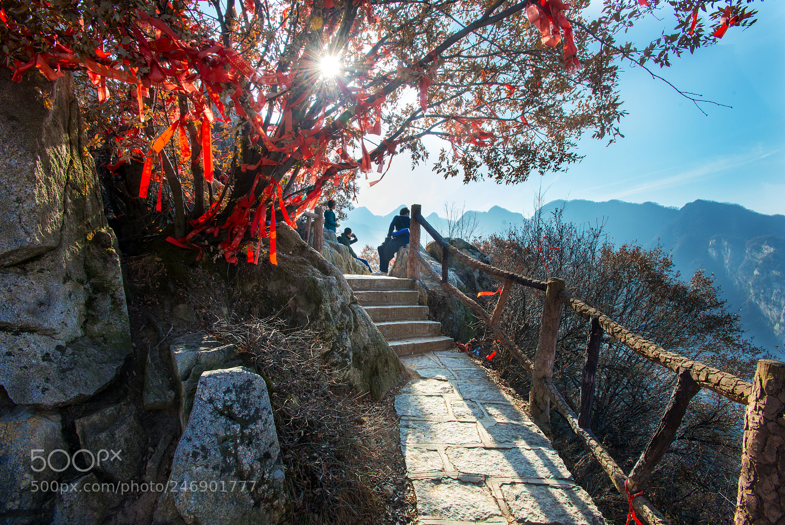 Nikon D800 sample photo. 翠华山 photography