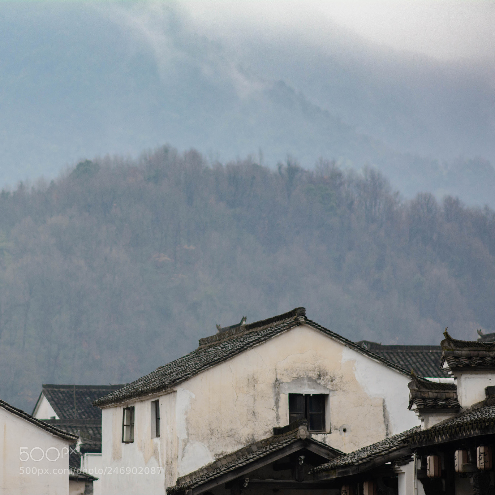 Nikon D7100 sample photo. Untitled photography