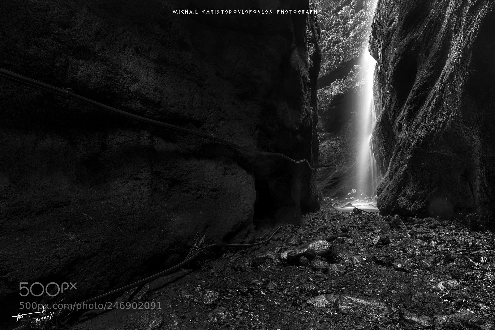 Nikon D810 sample photo. Los tilos (la palma) photography