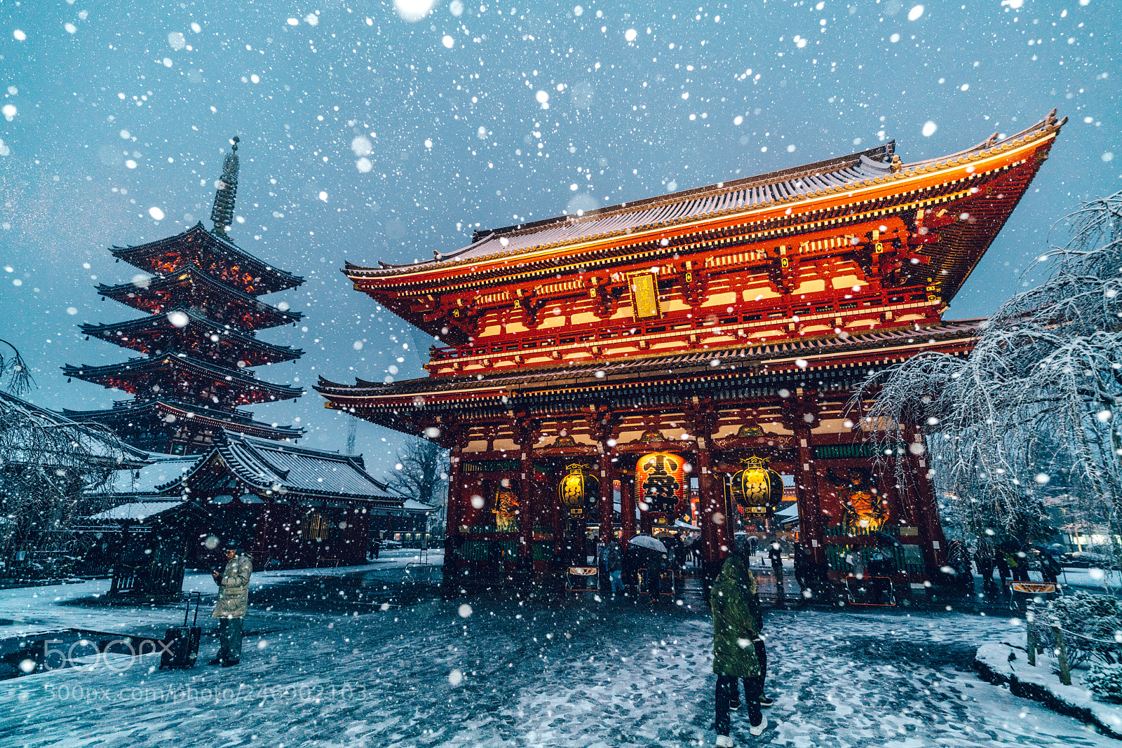Sony a7R II sample photo. Snow coverd tokyo photography