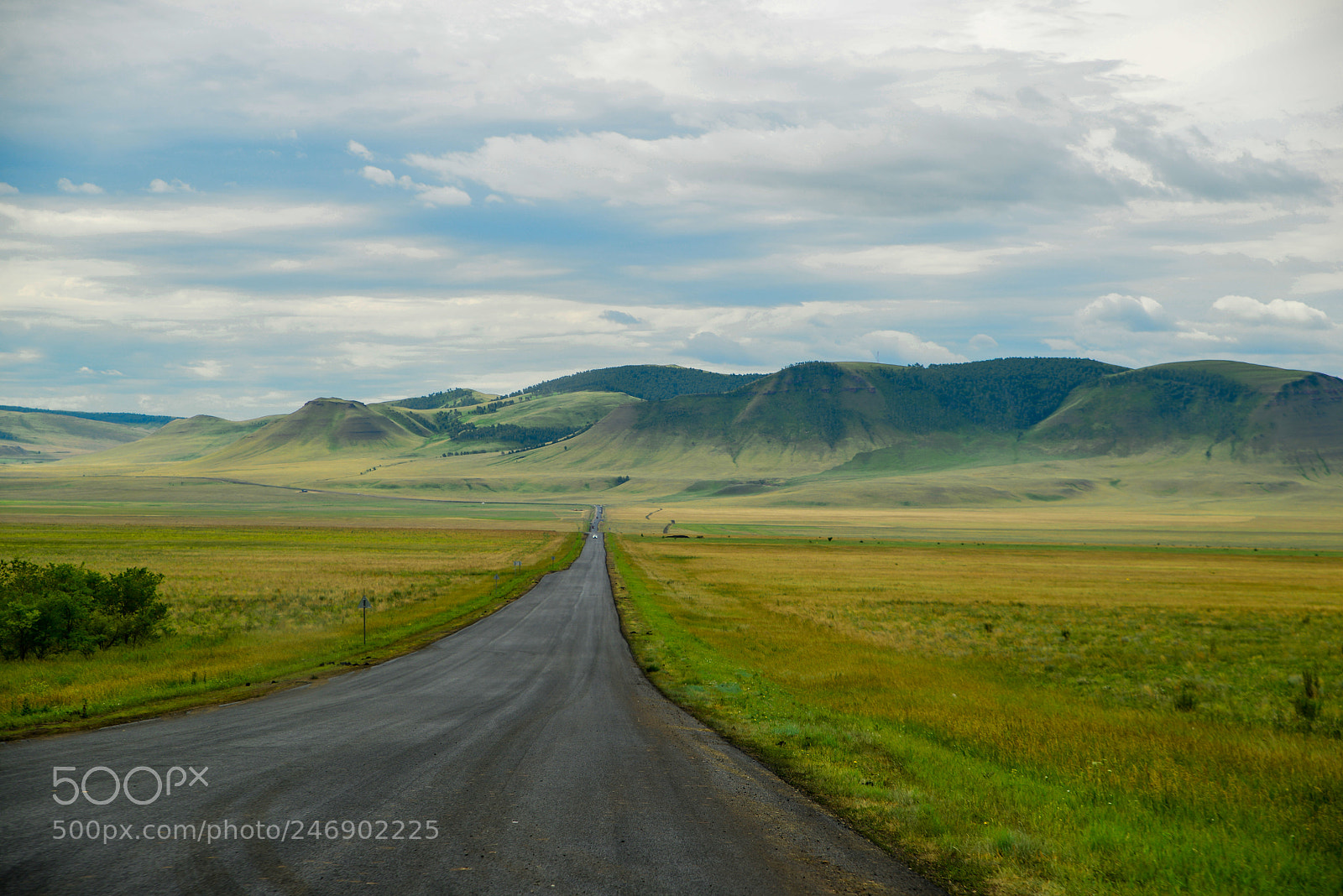 Nikon D800 sample photo. The road, khakassia, russia photography