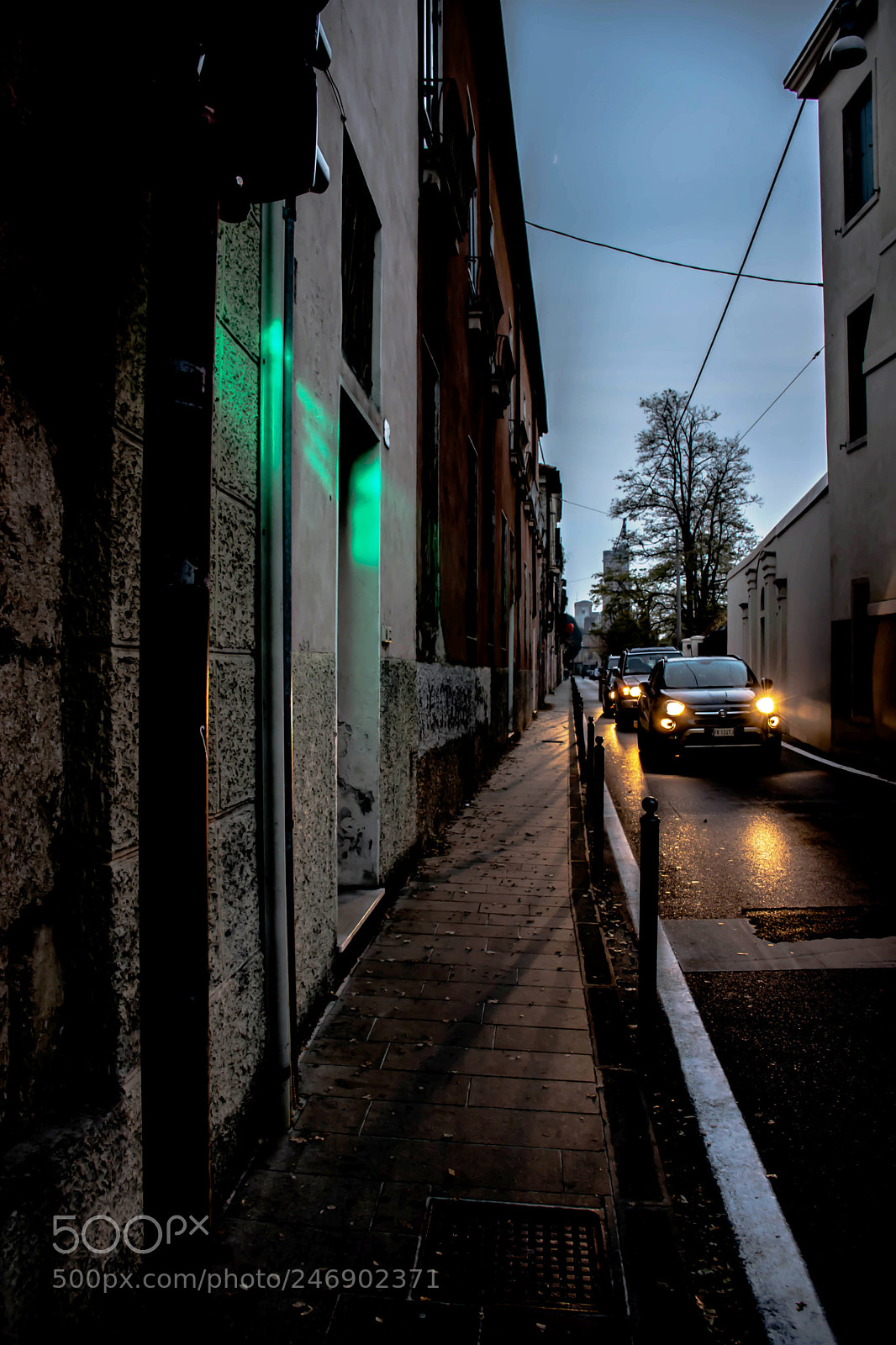 Nikon D7200 sample photo. A coat of colour photography