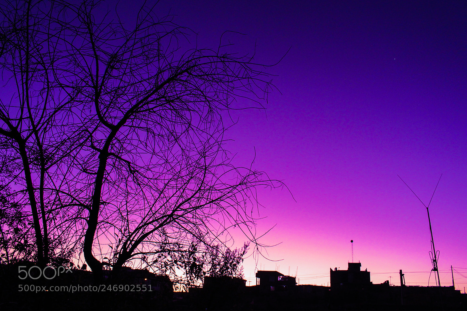 Canon EOS 700D (EOS Rebel T5i / EOS Kiss X7i) sample photo. Waiting for the night photography