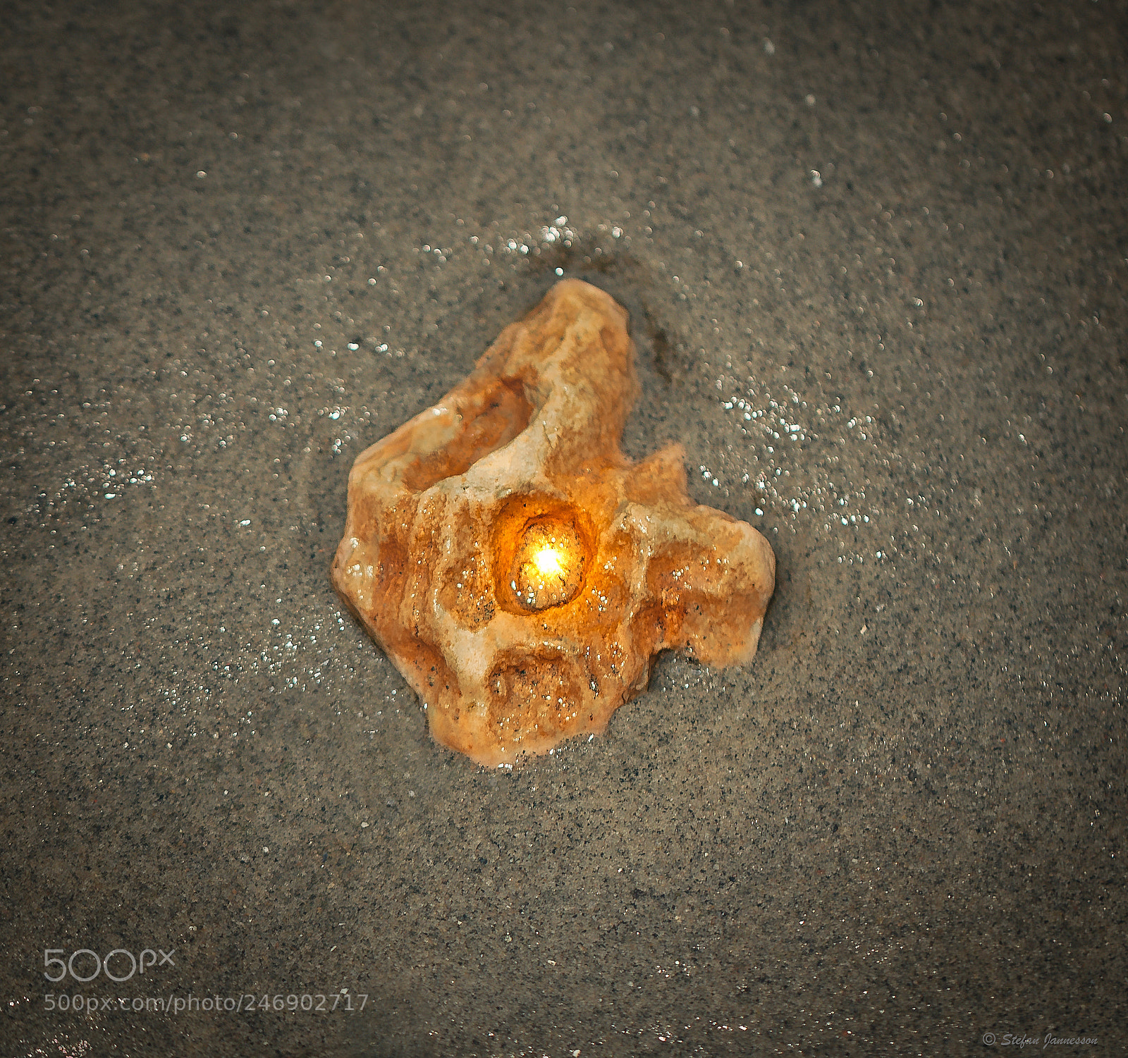 Canon EOS 5DS R sample photo. He that hath ears photography