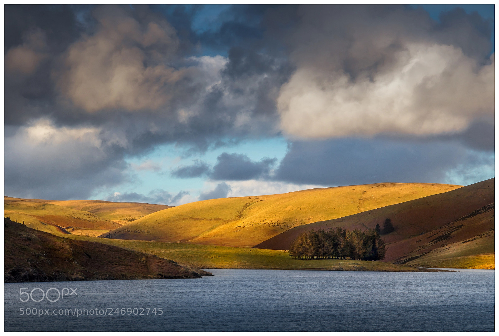 Canon EOS 7D Mark II sample photo. Elan valley gold #2 photography