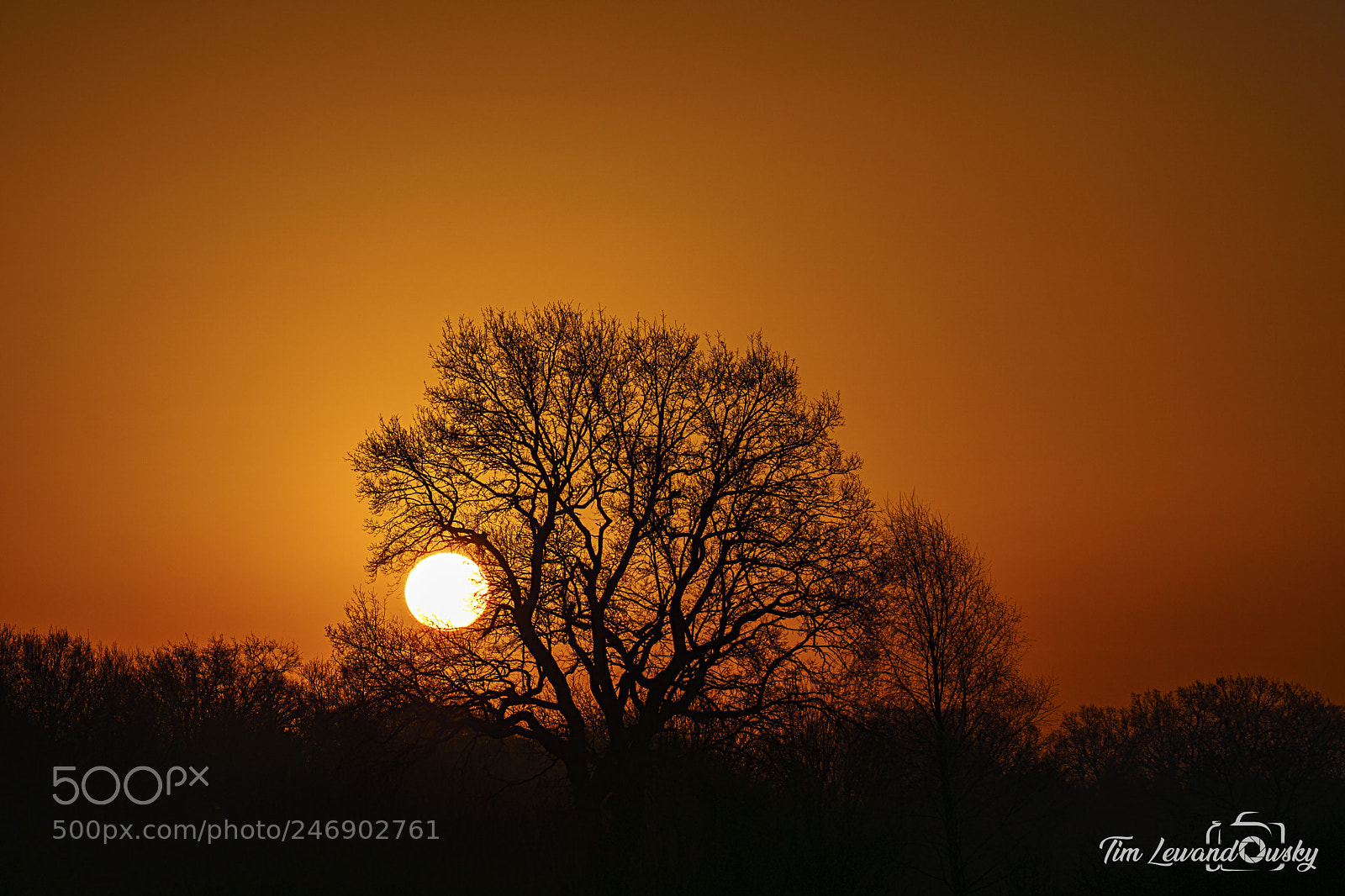 Sony ILCA-77M2 sample photo. Sunrise on the fields photography