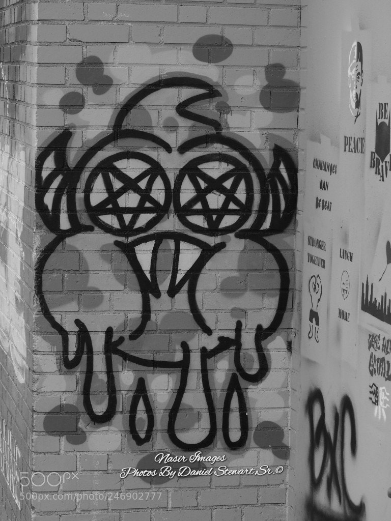 Olympus OM-D E-M10 II sample photo. Untitled photography