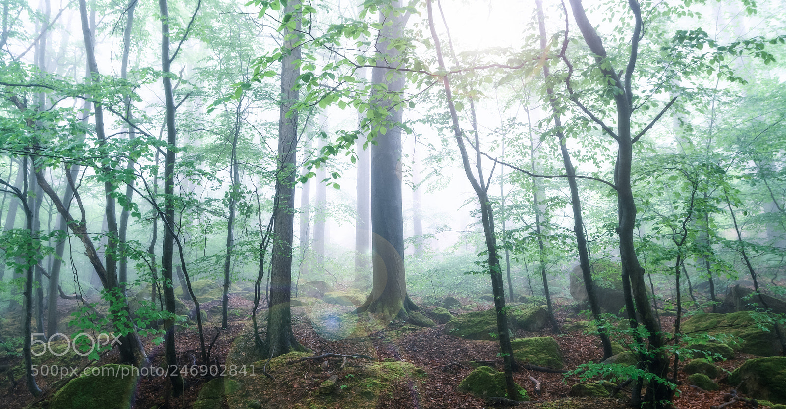 Nikon D7100 sample photo. Ilsefog (2.0) photography
