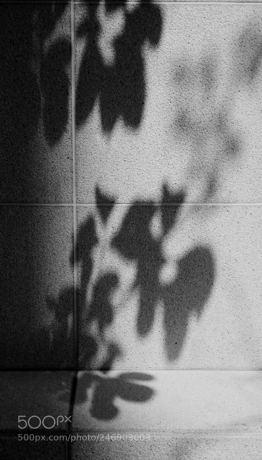 HTC D728X sample photo. Untitled photography