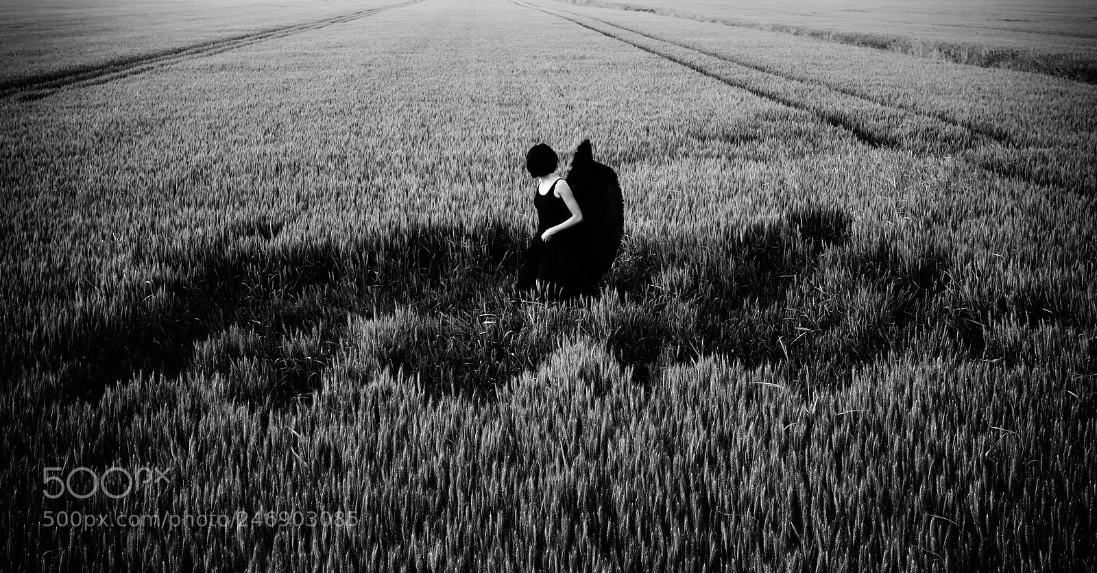 Nikon D300 sample photo. Dark angel 12 photography